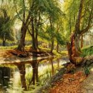 A Stream In Dyrehaven (the Deer Garden) North Of Copenhagen