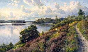 A View Of Borreso From Himmelbjerget,denmark