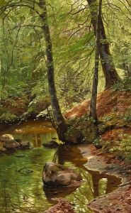 A Forest Stream