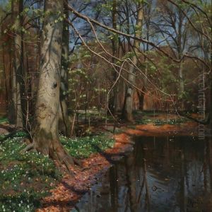 A Forest Lake