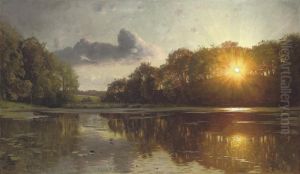 Sunset Over A Forest Lake