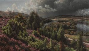 The Heather Hills By The Lakes Near Silkeborg