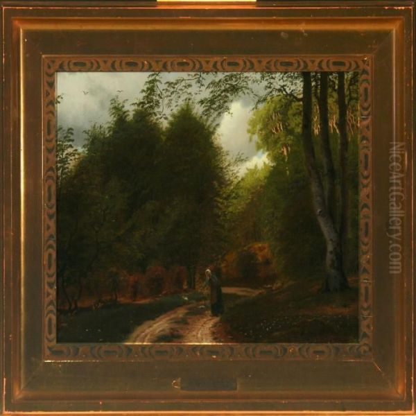 Braendesamlerske Imarselisborg Skov - view 1