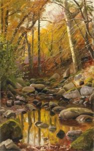 Waldlandschaft Mitbach Waldlandschaft Mitbach