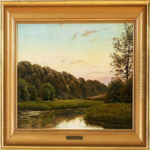 Summer Eveninglandscape