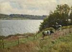Sommarlandskap Med Kor