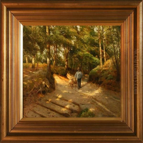 Forest Scene Fromhimmelbjerget, Denmark - view 1