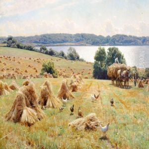 Harvest Scene On A Sunny Day.