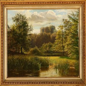 Scene From Marselisborg Forest