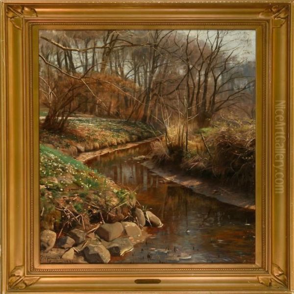 Stream In Enrum Forest, Denmark - view 1