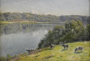 Sommarlandskap - Tulstrup Sommarlandskap - Tulstrup