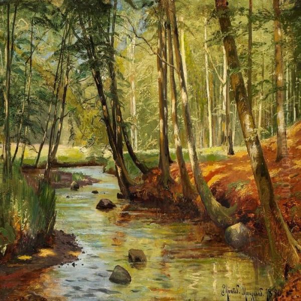 Stream In Moesgaard Forest - view 1