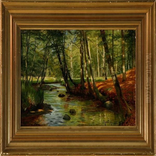 Stream In Moesgaard Forest - view 1