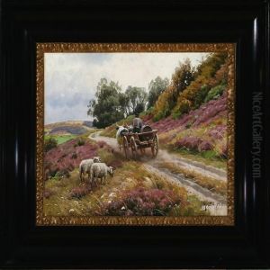 Heather Landscape From Ornebjerg