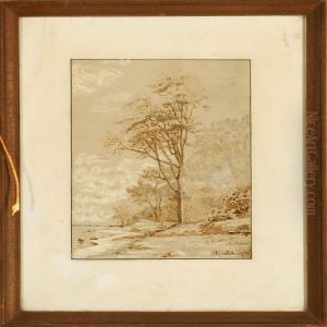 A Coastal Scene With A Birch Tree A Coastal Scene With A Birch Tree