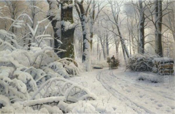 Forest In Winter - view 1
