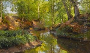 Sunlight In A Wood
