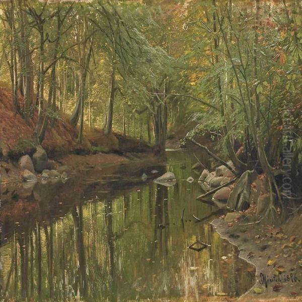 Forest Scenery Withtrees By A Stream - view 1