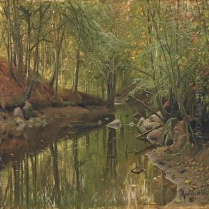 Forest Scenery Withtrees By A Stream Forest Scenery Withtrees By A Stream