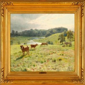 Grazing Cattle At Gl Grazing Cattle At Gl