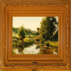Overlooking A Stream Ona Summer's Day Overlooking A Stream Ona Summer's Day