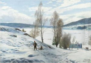 Vinterdag Ved Odnes, Norge Vinterdag Ved Odnes, Norge