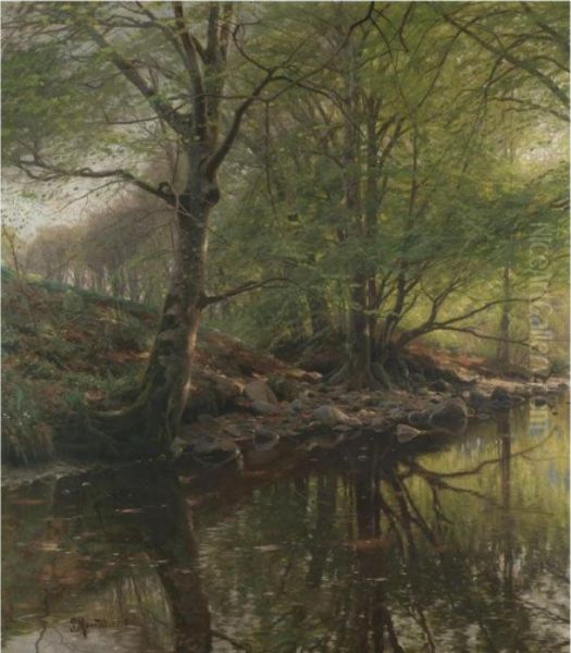 Skovbaek (forest Stream) - view 1