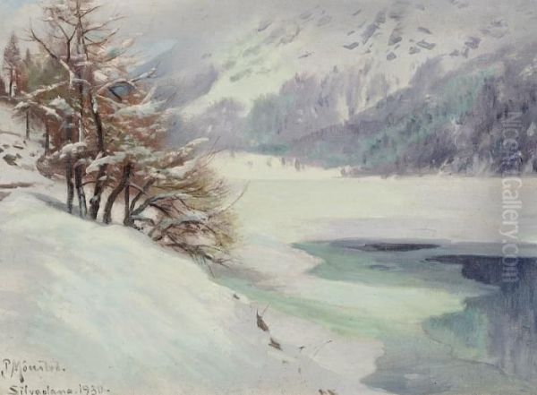 A Winter's Day In Silvaplana - view 1