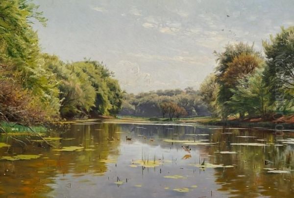 Ducks In A Forest Lake - view 1