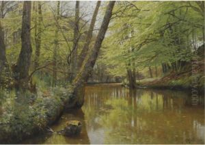 Alob I Skoven (river Flowing Through A Tranquil Forest) Alob I Skoven (river Flowing Through A Tranquil Forest)