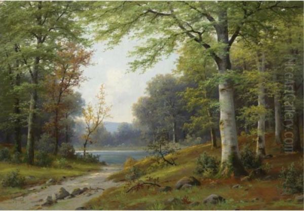 Birch Trees By A Stream - view 1
