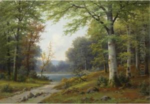 Birch Trees By A Stream