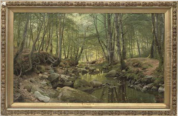 A Stream In A Tranquil Wooded Landscape - view 1