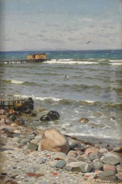 Stranden I Aalsgaard - view 1