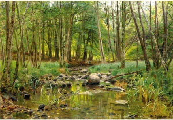 Woodland Stream - view 1