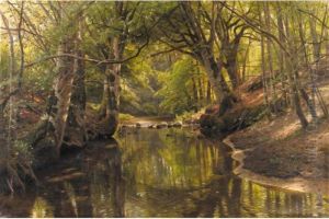 Forest Stream Forest Stream