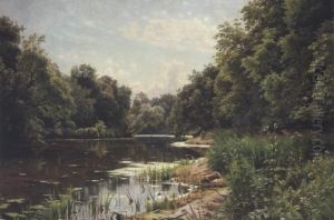 Tranquil River