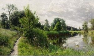 A Summer Landscape With Swans On A Lake