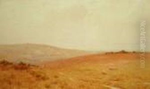 On The Sussex Downs