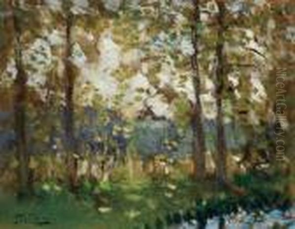 Paysage - view 1