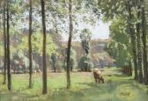 Vaches Dans Une Pature Vaches Dans Une Pature
