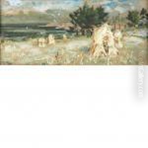 Sheaves - view 1