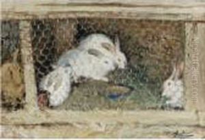 Les Lapins