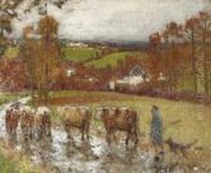 Retour Du Troupeau Apres La Pluie