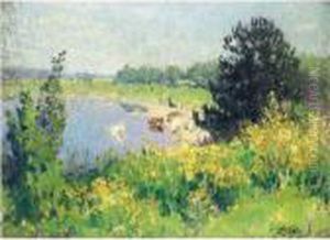 Vue Sur L'etang Vue Sur L'etang