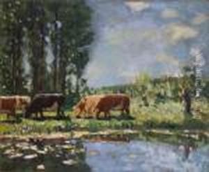 Vaches Au Bord D'un Etang Vaches Au Bord D'un Etang