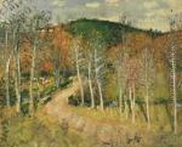 Paysage - view 1