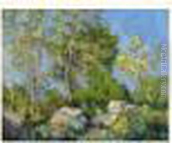 La Foret De Fontainebleau : Rochers Sous Les Arbres Au Soleil, Debut Xxe Siecle. - view 1