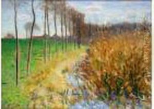 Paysage Aux Grands Arbres