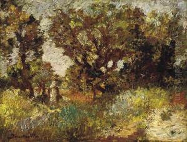 Environs De La Destrousse - view 1